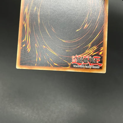 遊戯王　サンダー・ボトル/レリーフ/ドイツ語/EU版