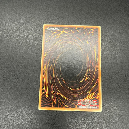 遊戯王　援護射撃/レリーフ/ドイツ/EU版