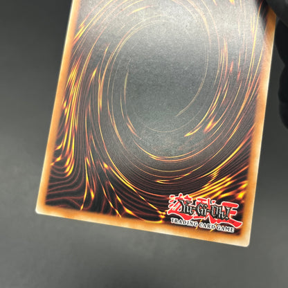 遊戯王　ダーク・ネフティス/レリーフ/ドイツ語/1st/EU版