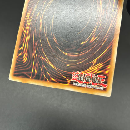 遊戯王　インフェルノイド・ネヘモス/レリーフ/イタリア/1st/EU版