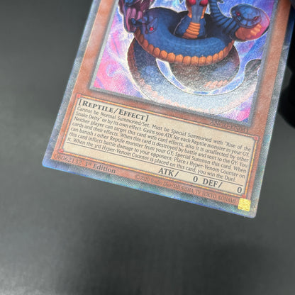 遊戯王　毒蛇神ヴェノミナーガ/コレクターズ/英語/1st/EU版