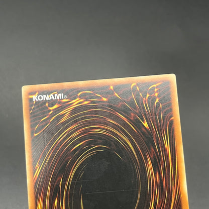 遊戯王　死のデッキ破壊ウイルス/レリーフ/スペイン/1st/EU版