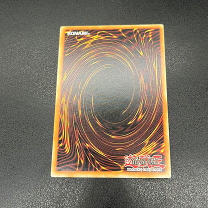 遊戯王　聖霊獣騎 ガイアペライオ/レリーフ/イタリア語/1st/EU版