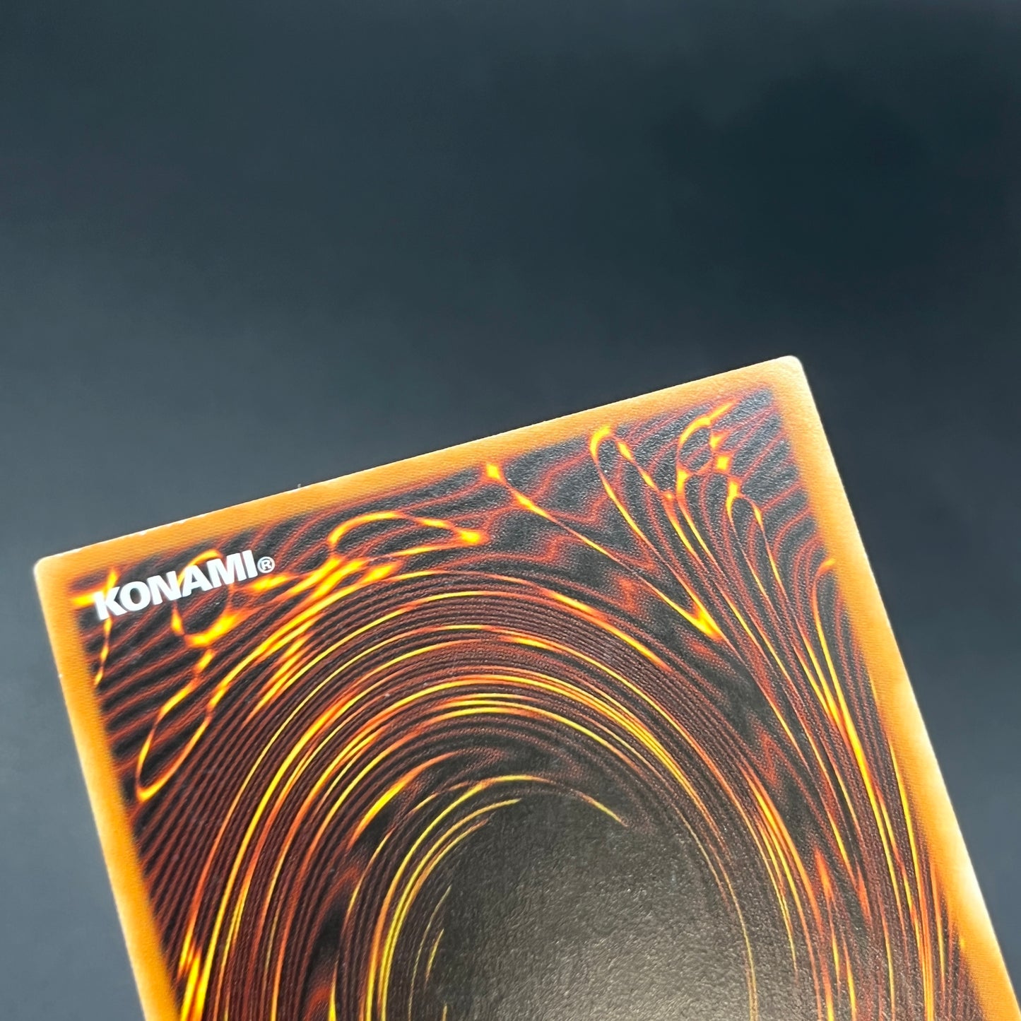 遊戯王　ハーピィズペット仔竜/レリーフ/ドイツ語/1st/EU版