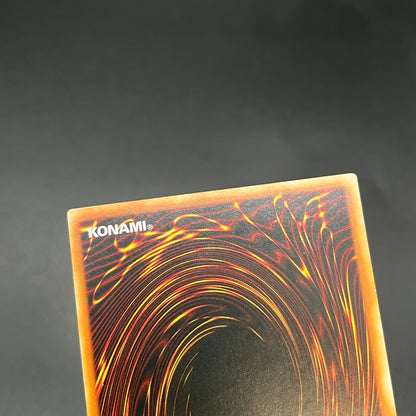 遊戯王　死のデッキ破壊ウイルス/レリーフ/フランス/EU版