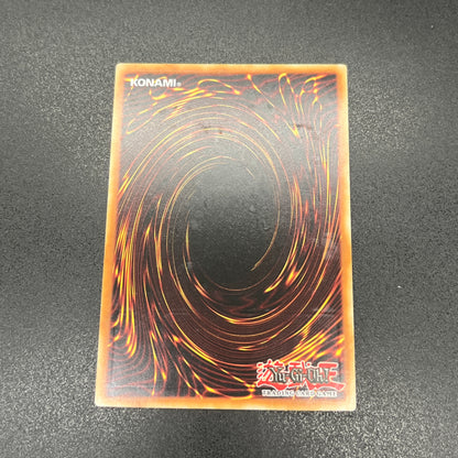 遊戯王　悪魔竜ブラック・デーモンズ・ドラゴン/レリーフ/英語/1st/EU版