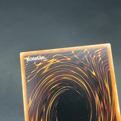 遊戯王　ネクロ・ガードナー/レリーフ/ドイツ/EU版