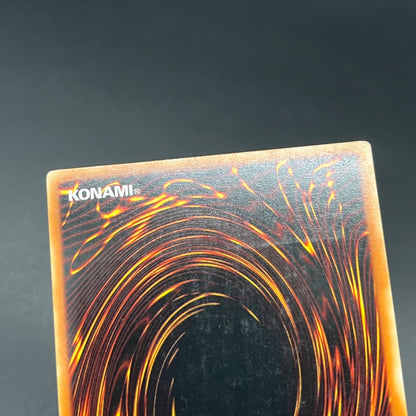 遊戯王　ホルスの黒炎竜 ＬＶ６/レリーフ/英語