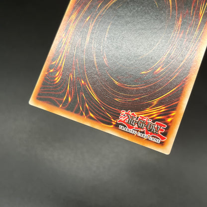 遊戯王　閃刀姫−カイナ/レリーフ/英語/EU版