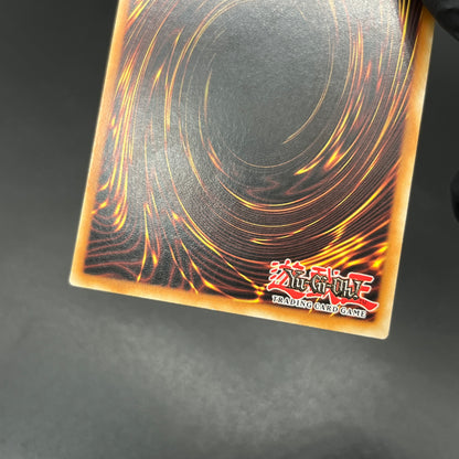 遊戯王　サイバー・ダーク・キール/レリーフ/ドイツ語/1st/EU版