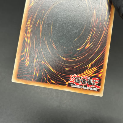 遊戯王　ダーク・レクイエム・エクシーズ・ドラゴン/レリーフ/英語/EU版