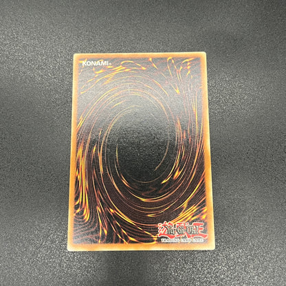 遊戯王　マスターモンク/レリーフ/ドイツ語/1st/EU版