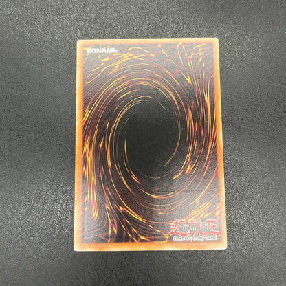 遊戯王　悪魔竜ブラック・デーモンズ・ドラゴン/レリーフ/イタリア/1st/EU版