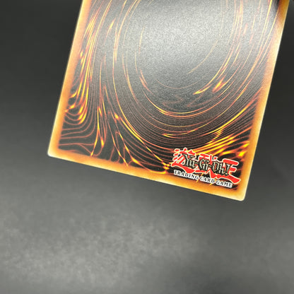 遊戯王　ラーの翼神竜/ゴルシク/英語/EU