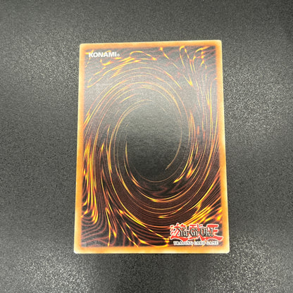 遊戯王　誤作動/レリーフ/ドイツ語/EU版