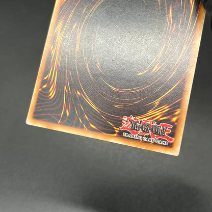 遊戯王　奇跡の蘇生/レリーフ/ドイツ語/EU版