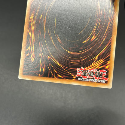 遊戯王　ピュアリィ・リリィ/レリーフ/英語/EU版