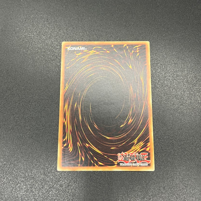 遊戯王　Ｎｏ.１７ リバイス・ドラゴン/レリーフ/ドイツ/EU版