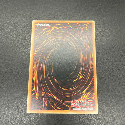 遊戯王　ダーク・レクイエム・エクシーズ・ドラゴン/レリーフ/英語/EU版