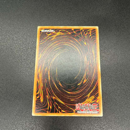 遊戯王　ドラゴンメイドのお心づくし/クオシク/英語/1st/EU