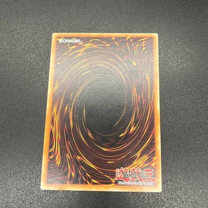 遊戯王　聖殿の水遣い/レリーフ/英語/EU版