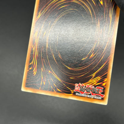 遊戯王　静寂の賢者/レリーフ/ドイツ/1st/EU版