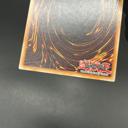 遊戯王　聖殿の水遣い/レリーフ/英語/EU版