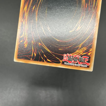 遊戯王　悪魔の聲/コレクターズレア/英語/1st/EU