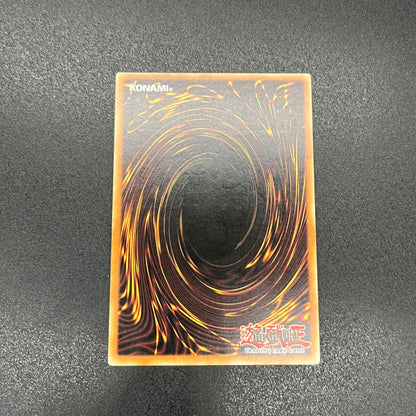 遊戯王　異次元の落とし穴/レリーフ/ドイツ語/EU版