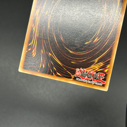 遊戯王　援護射撃/レリーフ/ドイツ/EU版