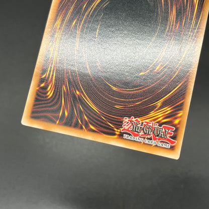 遊戯王　エーリアン・ウォリアー/レリーフ/英語/北米版