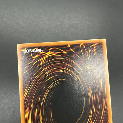 遊戯王　魔法の国の王女−クラン/レリーフ/ドイツ語/EU版