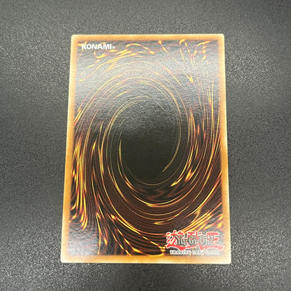 遊戯王　銀河眼の光子龍/レリーフ/英語/北米版