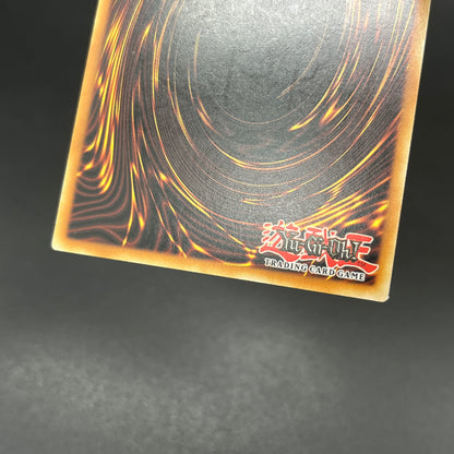 遊戯王　ゴブリンエリート部隊/レリーフ/ドイツ語/EU版