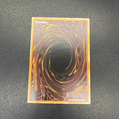 遊戯王　メタファイズ・ホルス・ドラゴン/レリーフ/英語/1st/EU版