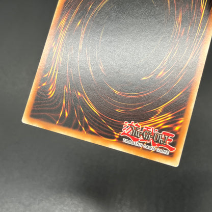 遊戯王　サンダー・エンド・ドラゴン/レリーフ/ドイツ/1st/EU版