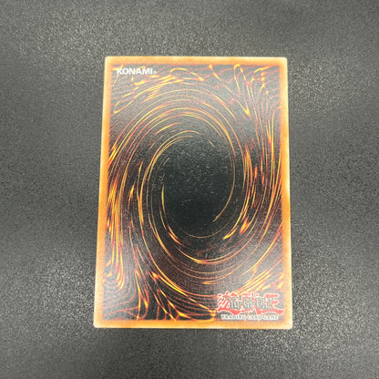 遊戯王　魔術師の弟子－ブラック・マジシャン・ガール/クオシク/英語/1st/EU