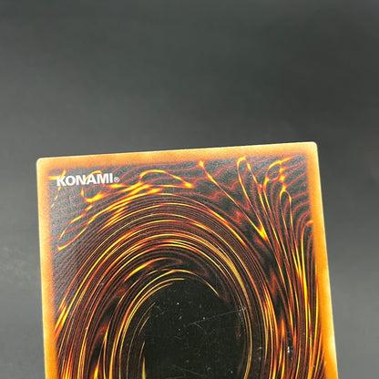 遊戯王　ライトニング・ボルテックス/レリーフ/ドイツ語/EU