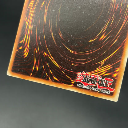 遊戯王　光と闇の竜/シークレット/英語/北米版