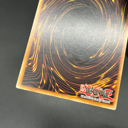 遊戯王　終焉の王デミス/レリーフ/ドイツ語/EU版