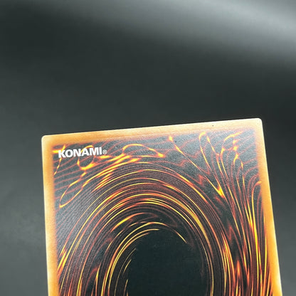 遊戯王　オッドアイズ・ボルテックス・ドラゴン/レリーフ/イタリア/1st/EU版