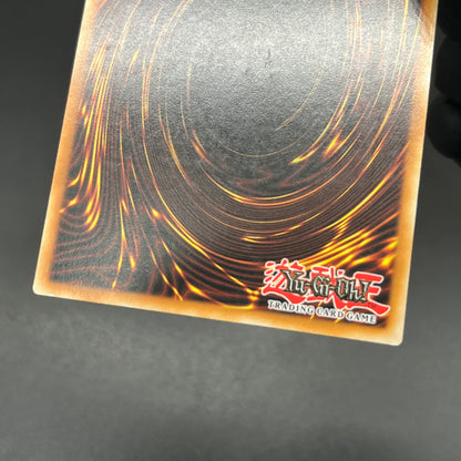 遊戯王　宇宙獣ガンギル/レリーフ/ドイツ/1st/EU版