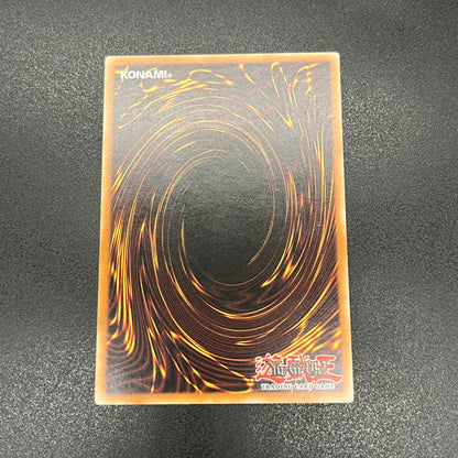 遊戯王　記憶破壊者/レリーフ/ドイツ語/EU版