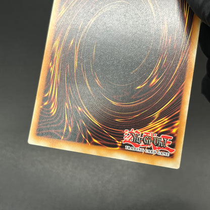 遊戯王　聖殿の水遣い/レリーフ/英語/EU版