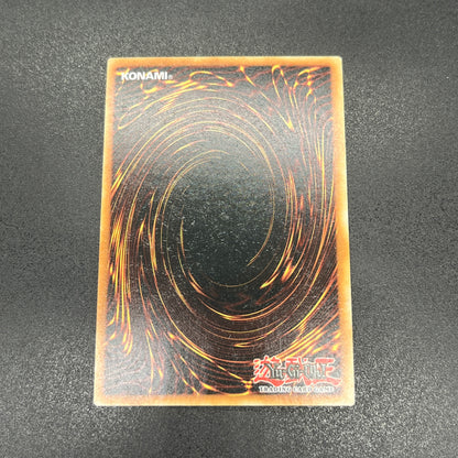 遊戯王　青眼の白龍/クオシク/英語/1st/EU版