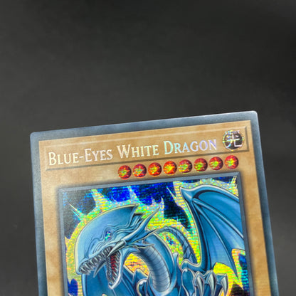 遊戯王　青眼の白龍/シークレット/英語/1st/EU版