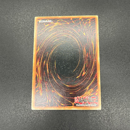 遊戯王　ブラック・マジシャン・ガール/クオシク/英語/1st/EU版