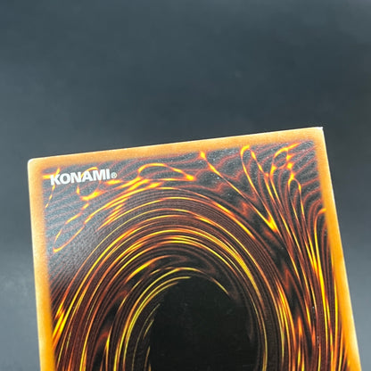 遊戯王　Ｅ・ＨＥＲＯ ワイルドジャギーマン/レリーフ/ドイツ語/1st/EU版