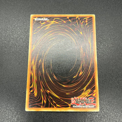 遊戯王　強引な安全協定/レリーフ/ドイツ語/EU版