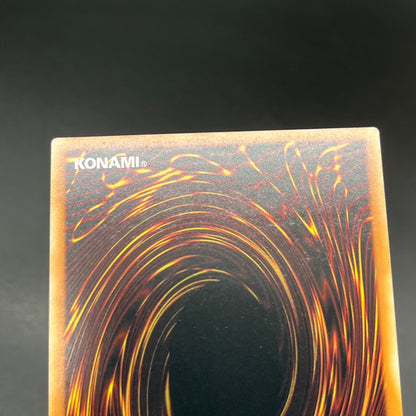 遊戯王　聖殿の水遣い/レリーフ/英語/EU版